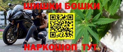 прущие грибы Азнакаево