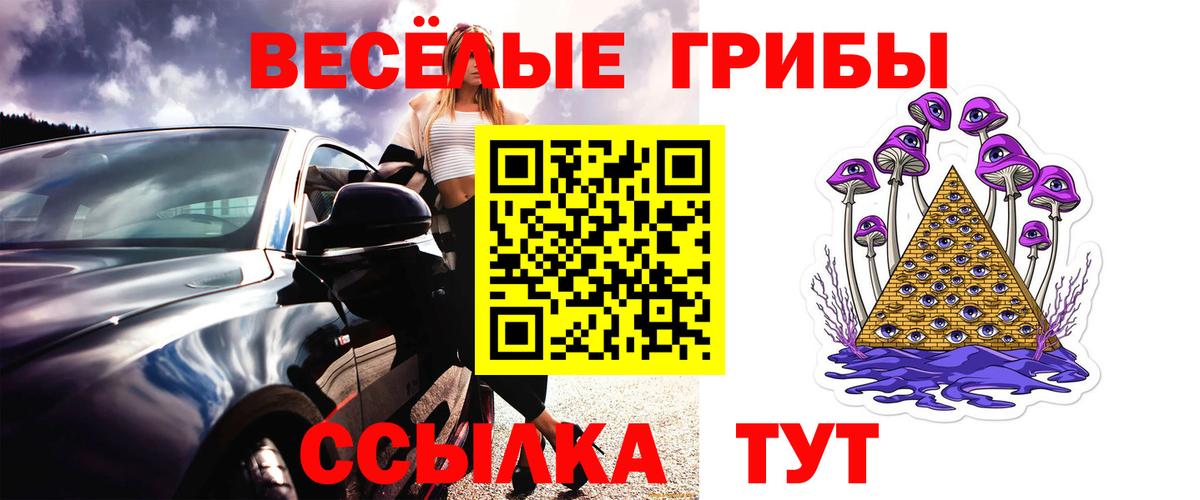 Галлюциногенные грибы Psilocybe  Вход с VPN  Азнакаево  купить наркоту  Псилоцибиновые грибы мухоморы 